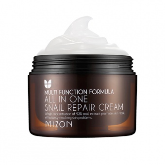MIZON Multifunktions-Gesichtscreme mit Schneckenschleim All in One Snail Repair Cream 120ml