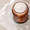 MIZON Gesichtscreme mit Schneckenschleim All in One Snail Repair Cream 75ml