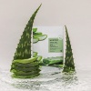 MIZON Beruhigende Tuchmaske mit Aloe-Extrakt Joyful Time Essence Mask Aloe 23g
